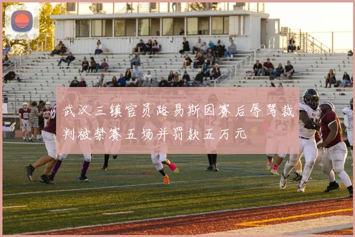 武汉三镇官员路易斯因赛后辱骂裁判被禁赛五场并罚款五万元