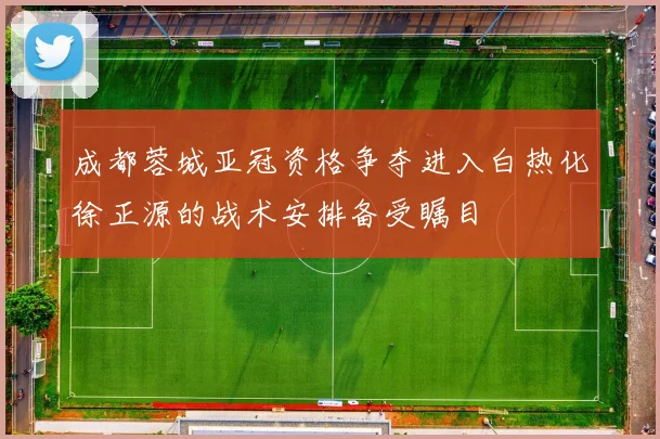 成都蓉城亚冠资格争夺进入白热化徐正源的战术安排备受瞩目